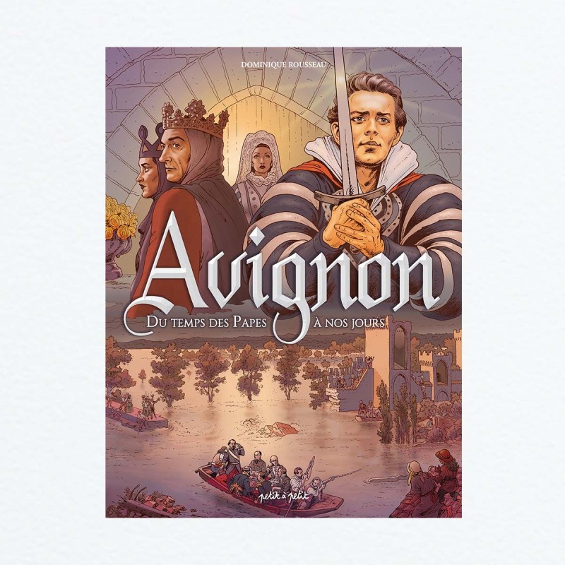 Avignon T2 - Du temps des papes à nos jours